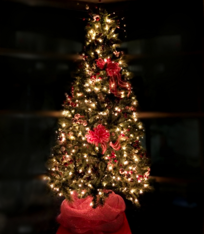 Christmas Tree Inside County Administration Building